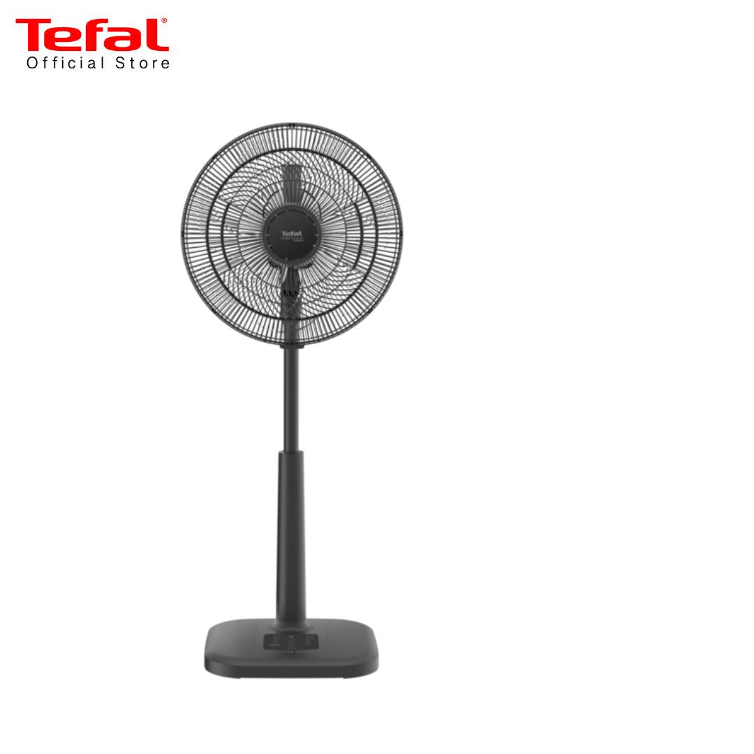 Fan ใหม่แห่งชาติ