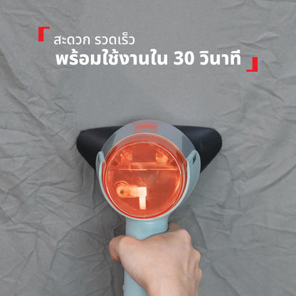 เครื่องรีดผ้าไอน้ำสุญญากาศ Aerosteam รุ่น DT9814F0 สี Eucalyptus