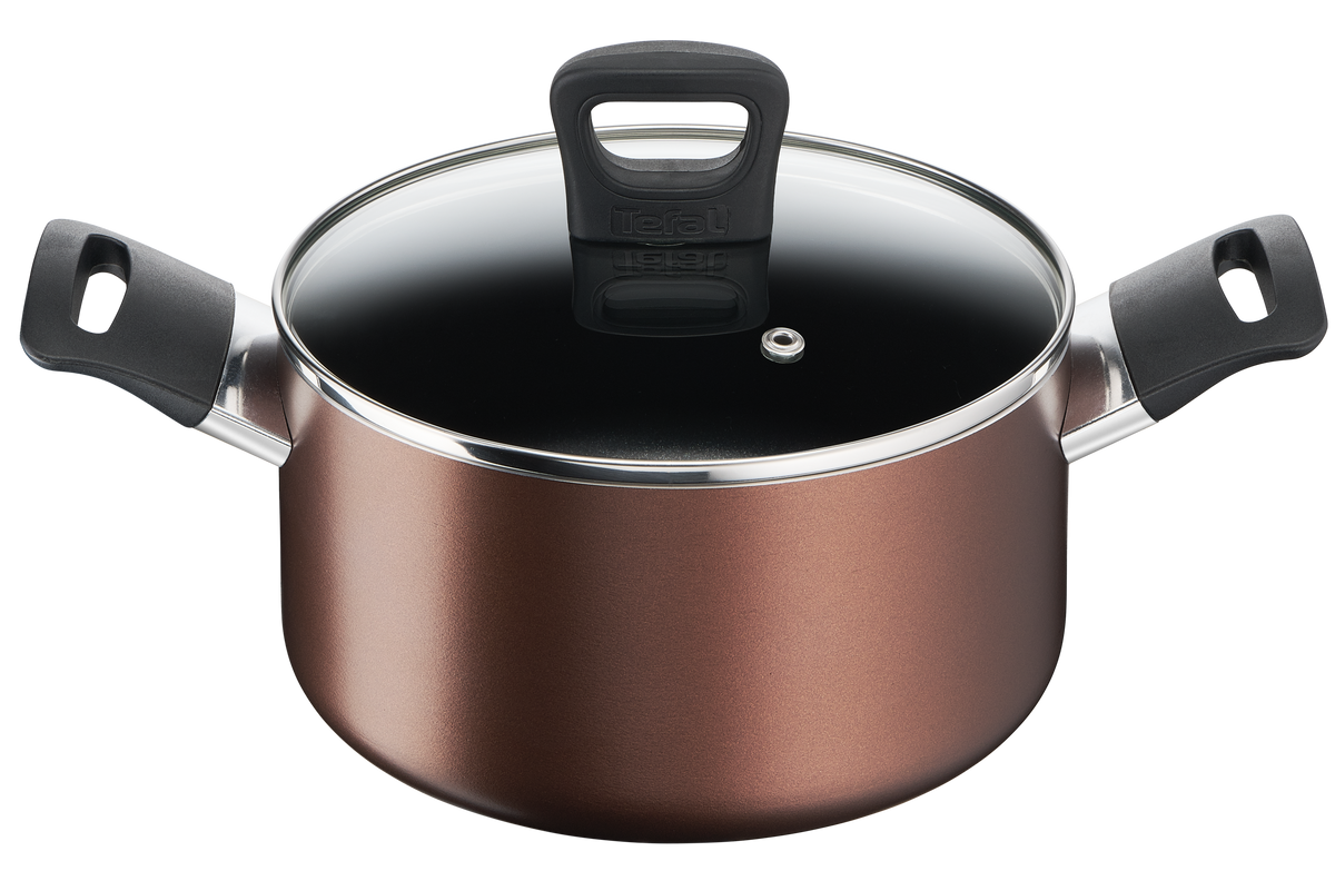 Tefal หม้อ 2 หู Day by day ก้นอินดักชั่น พร้อมฝาแก้ว ขนาด 22 ซม. รุ่น G1436195