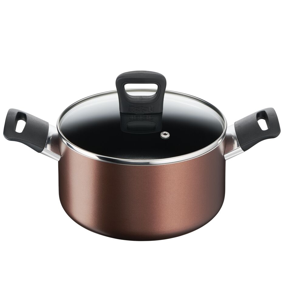 Tefal หม้อ 2 หู Day By Day ก้นอินดักชั่น พร้อมฝาแก้ว ขนาด 20 ซม. รุ่น G1434495